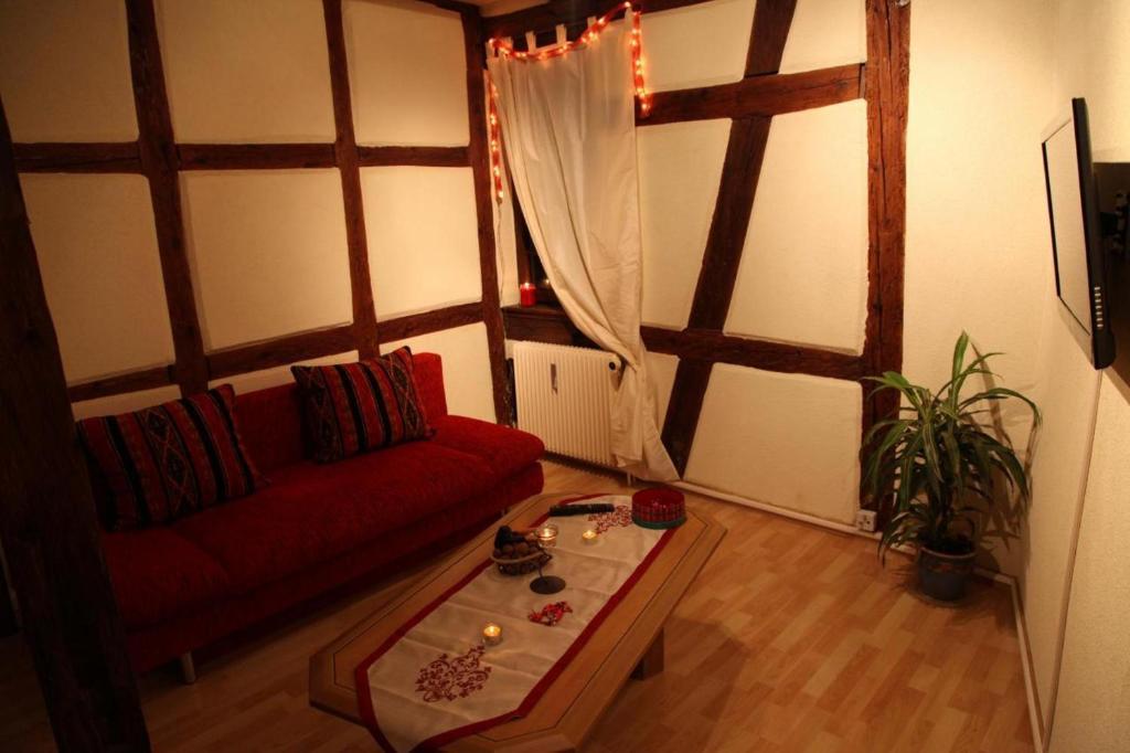 La Grenouille Apartment Turckheim Phòng bức ảnh